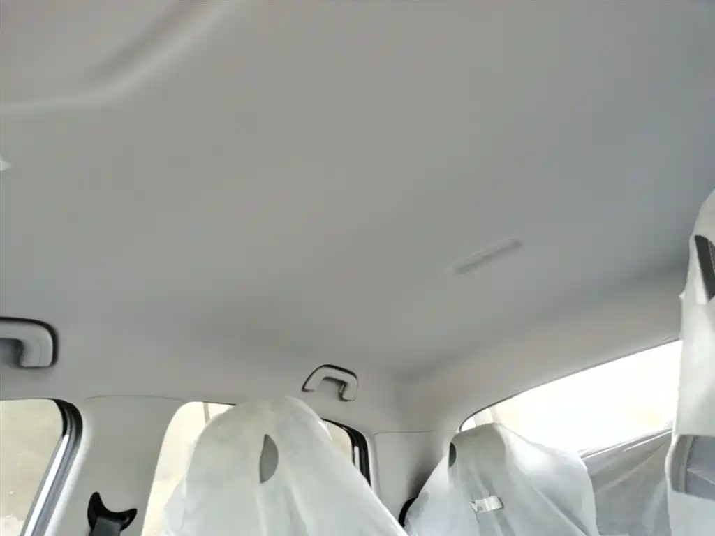 Geely Galaxy Starry Wish 2026 Edition 410km Freedom Version фото 18