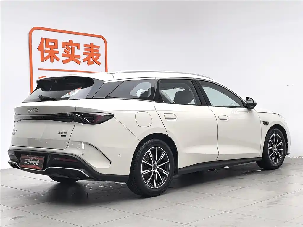 BYD Seal 06 DM-i Touring 2025 DM-i 80KM Premium фото 2