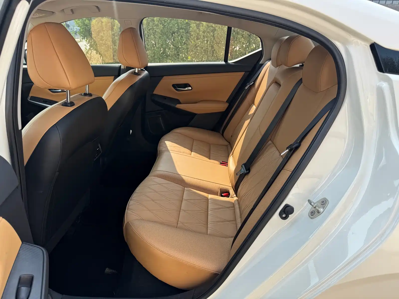 Фото 8 - Nissan Sylphy