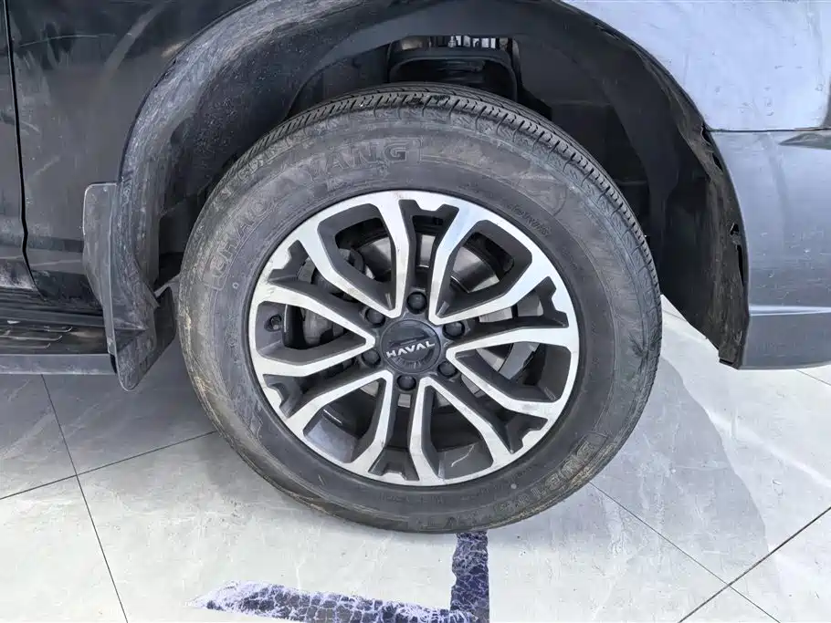 Haval H5 2023 2.0T Automatic 2WD Elite Edition Petrol фото 6