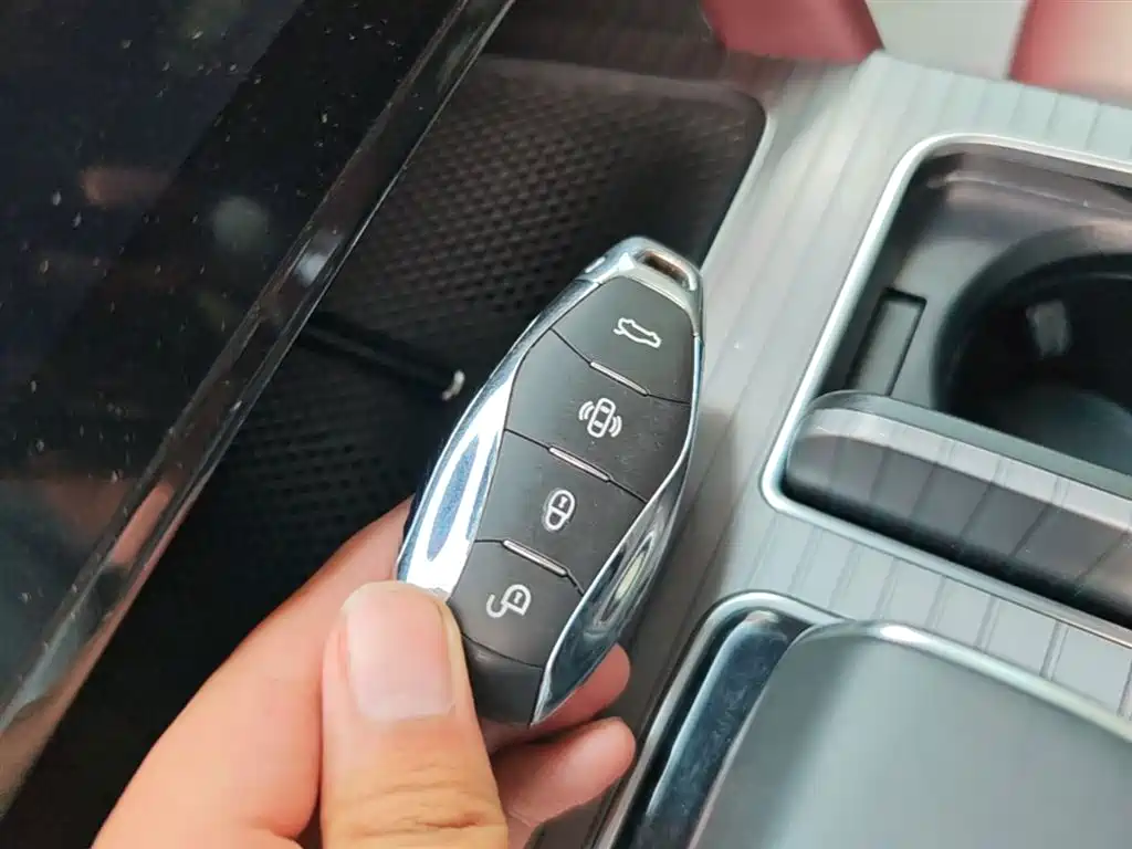 Hongqi HS7 PHEV 2024 2.0T PHEV 4WD Flagship Edition 6-seater фото 9