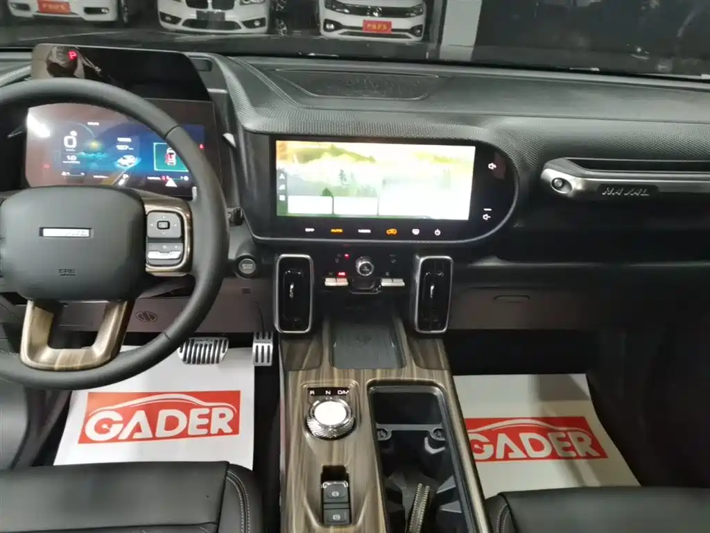 Haval Big Dog 2022 1.5T DCT FWD Border Collie Edition фото 13