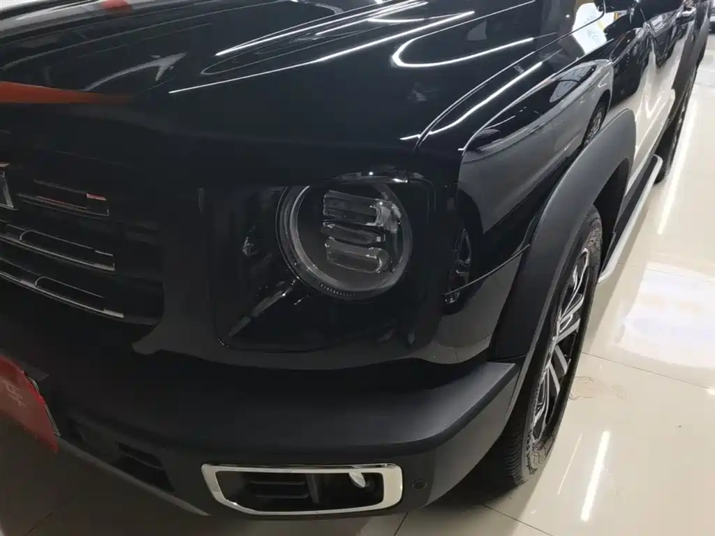 Haval Big Dog 2022 1.5T DCT FWD Border Collie Edition фото 24