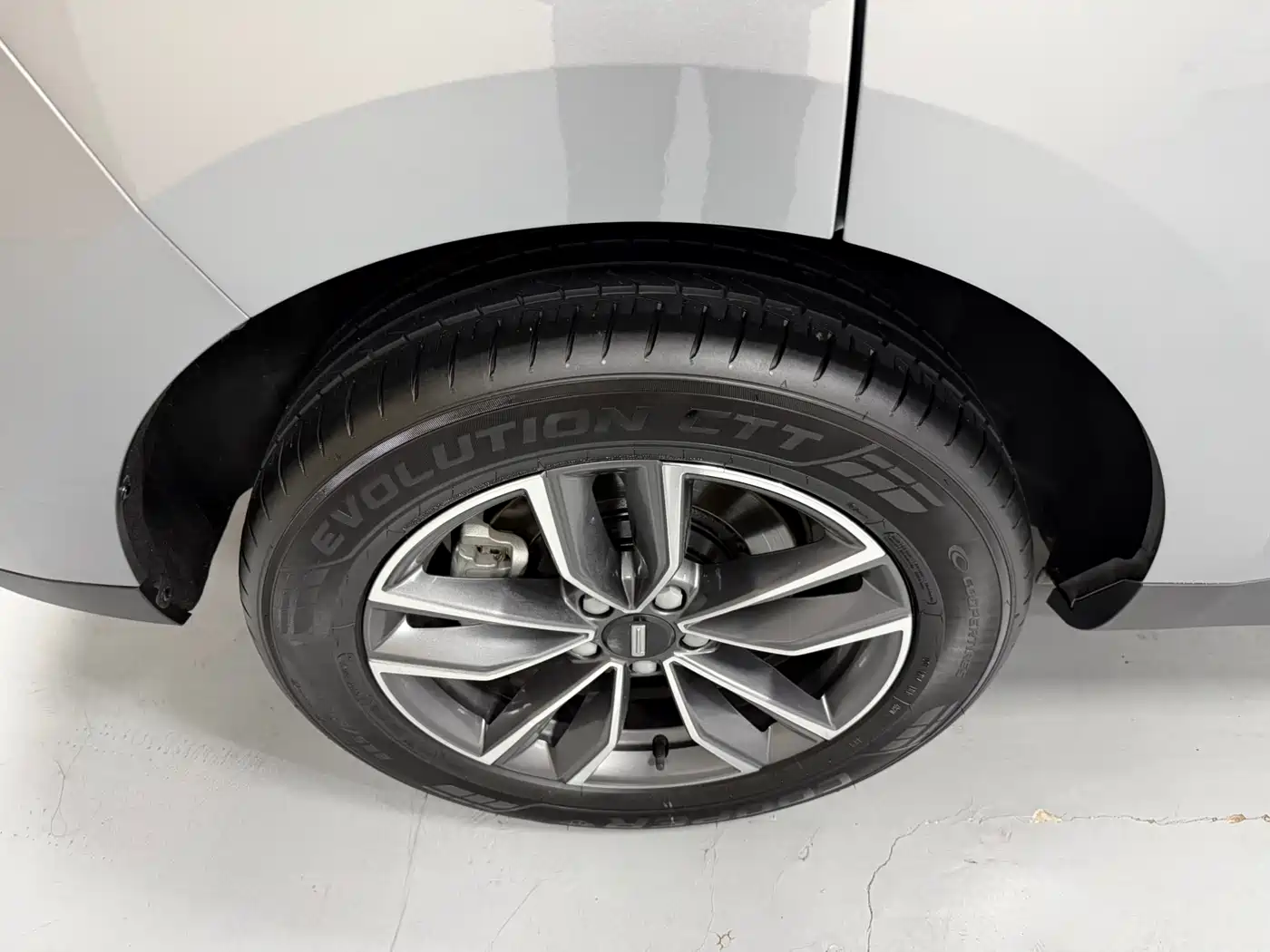 WEI PAI WEI BRAND VV5