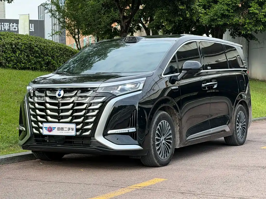 2026 Denza D9