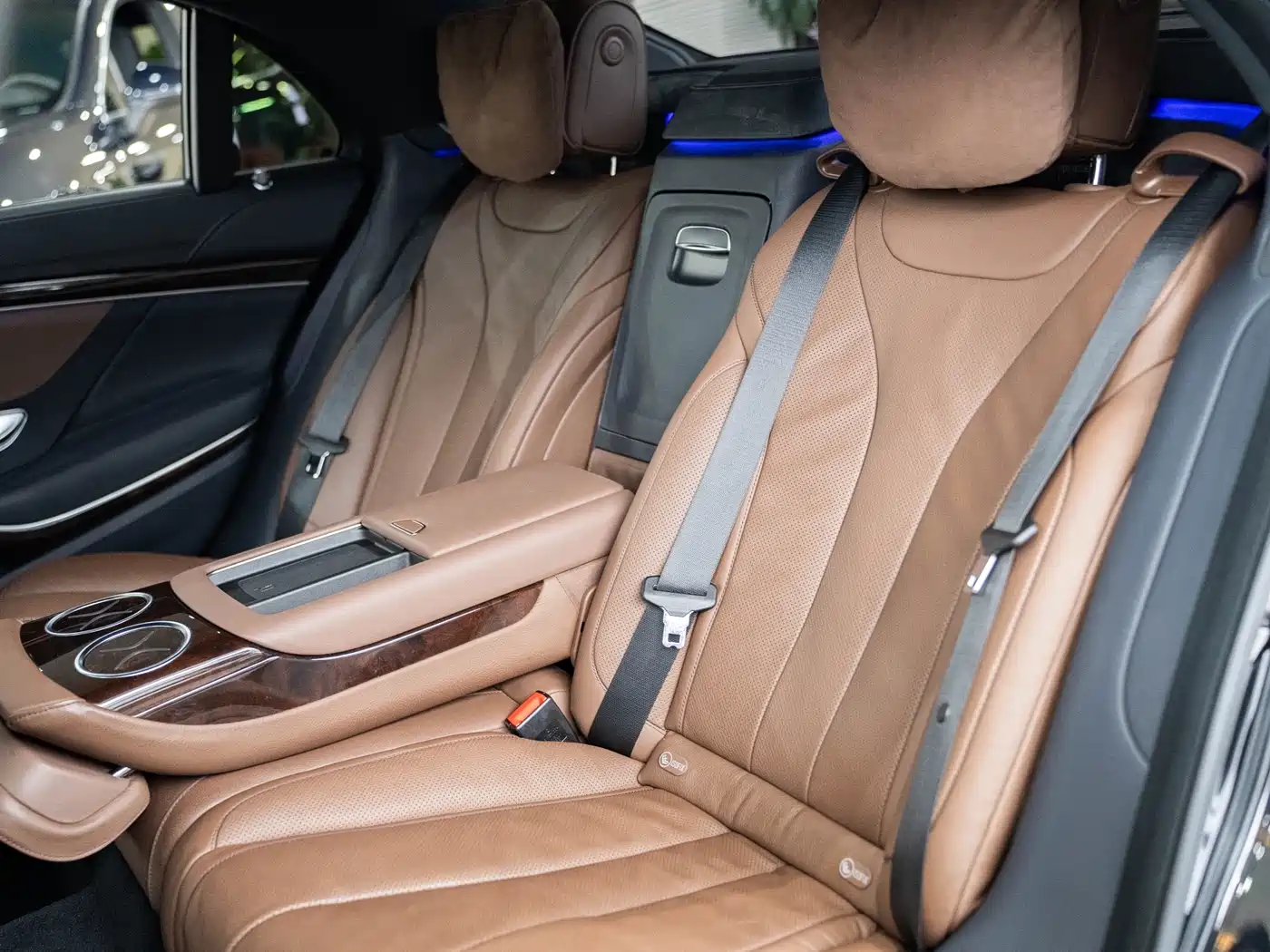 Mercedes-Benz S-Class 2020 S 350 L Premium Edition Collector's Version фото 25