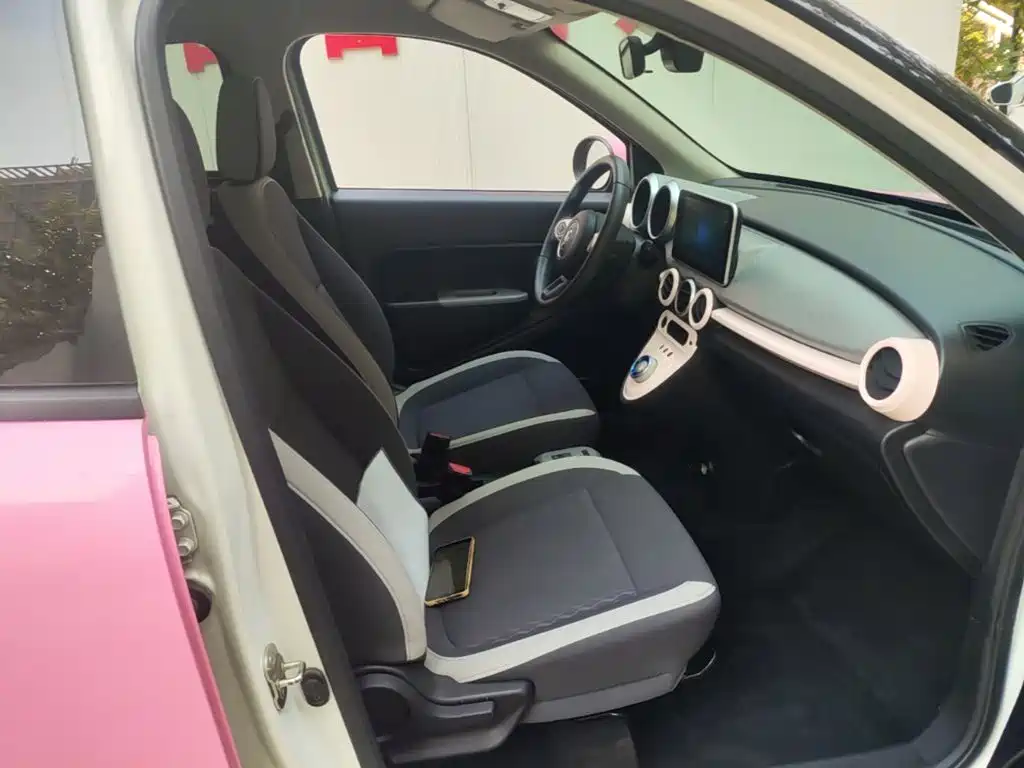 Ora Black Cat 2022 2022 301km Cute Pet Edition (LFP)