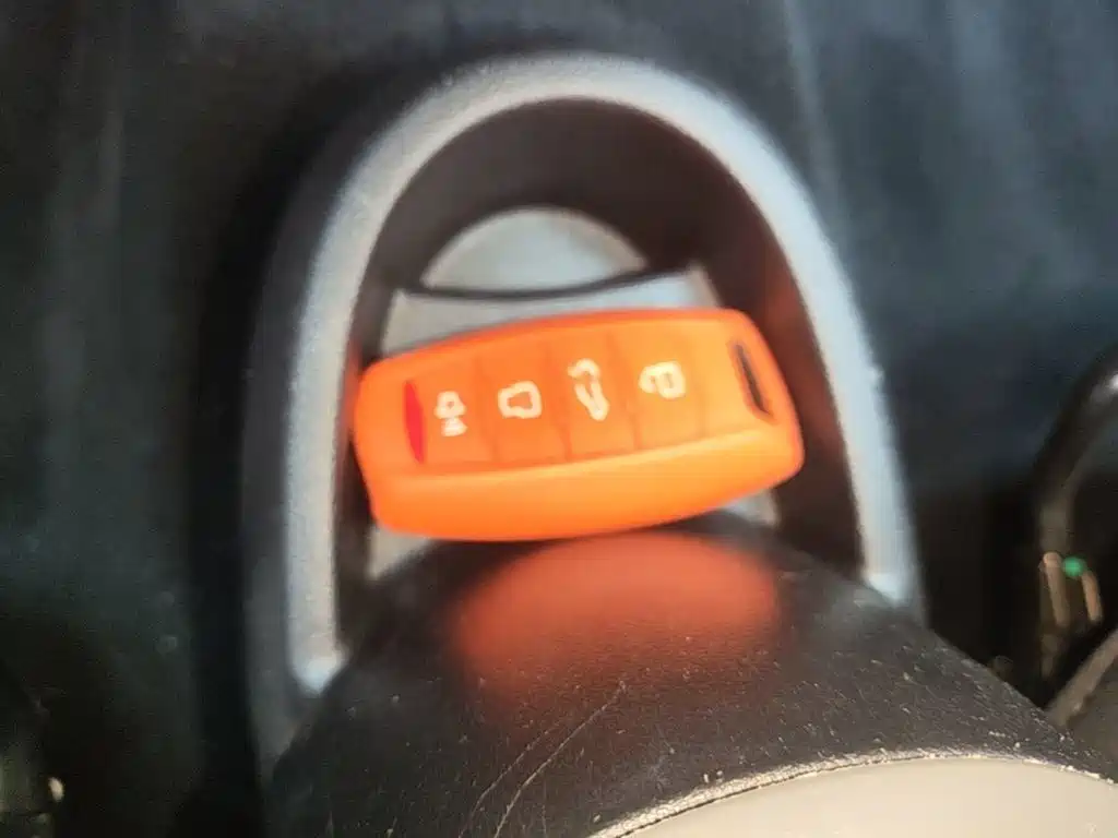 Ora Black Cat 2022 2022 301km Cute Pet Edition (LFP)