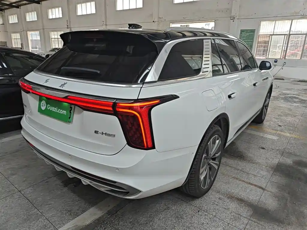 Hongqi E-HS9 2022 660km Qi Chang Edition (6-seater) фото 7