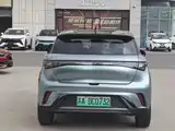 Фото 5 - BYD Dolphin