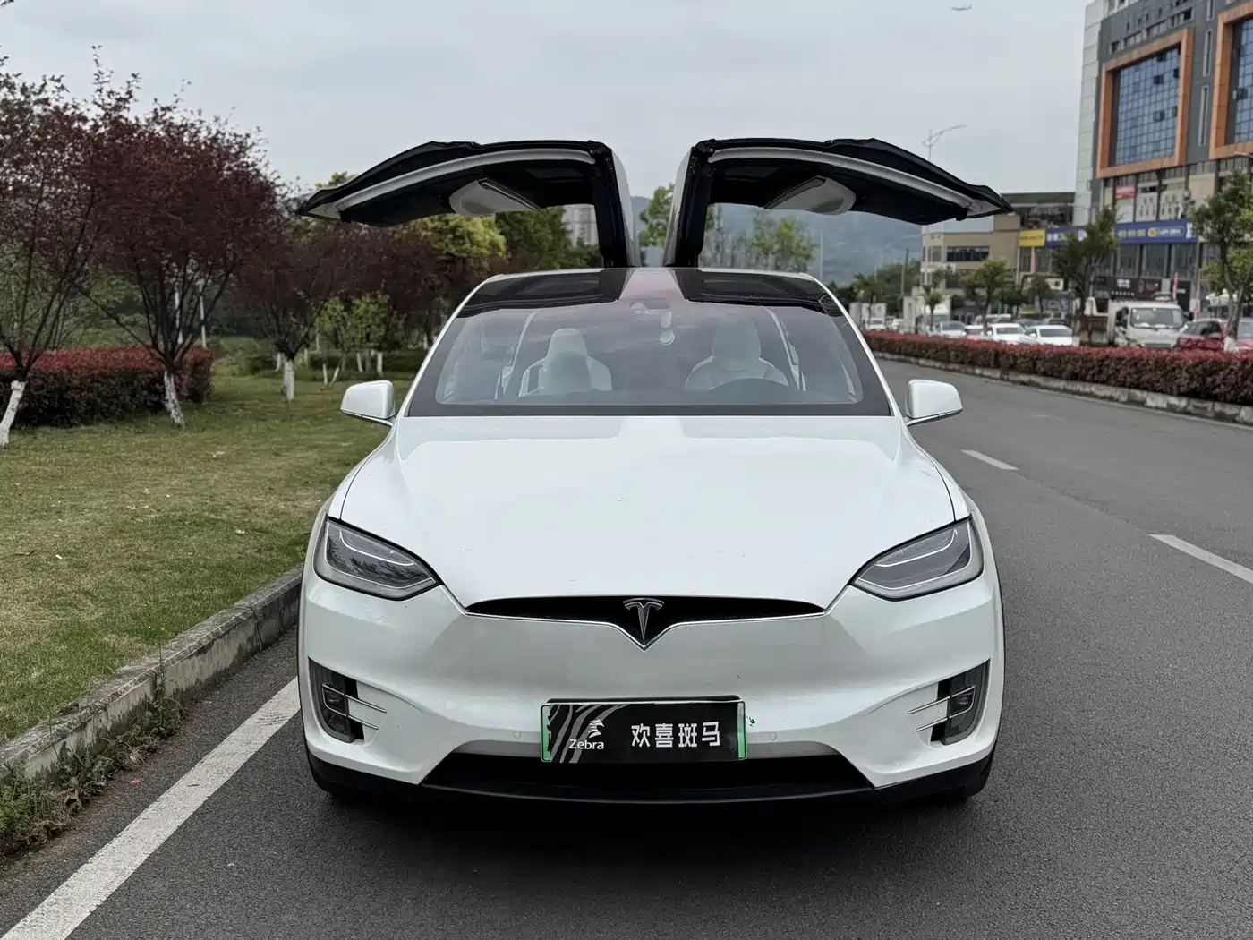 TESLA MODEL X