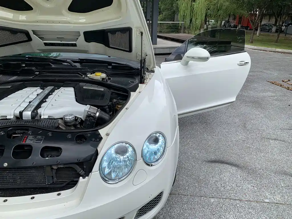Bentley Continental 2011 2010 Supersports 6.0