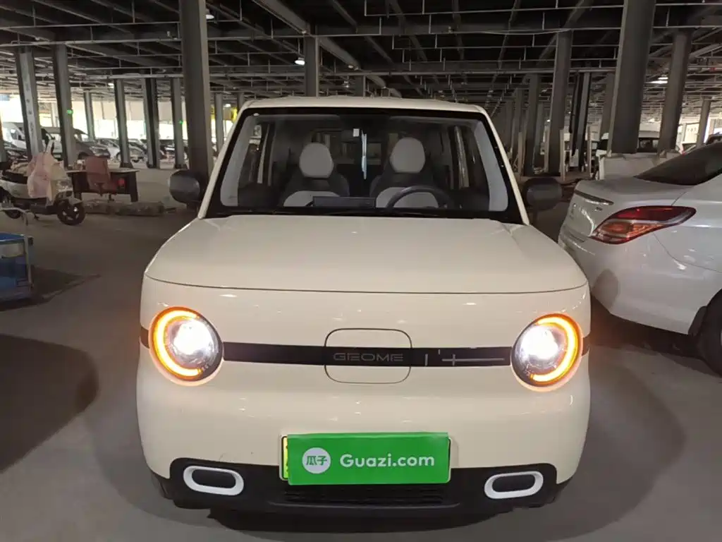 Geely Galaxy Panda 2025 Panda mini 210km Vitality Bear фото 3