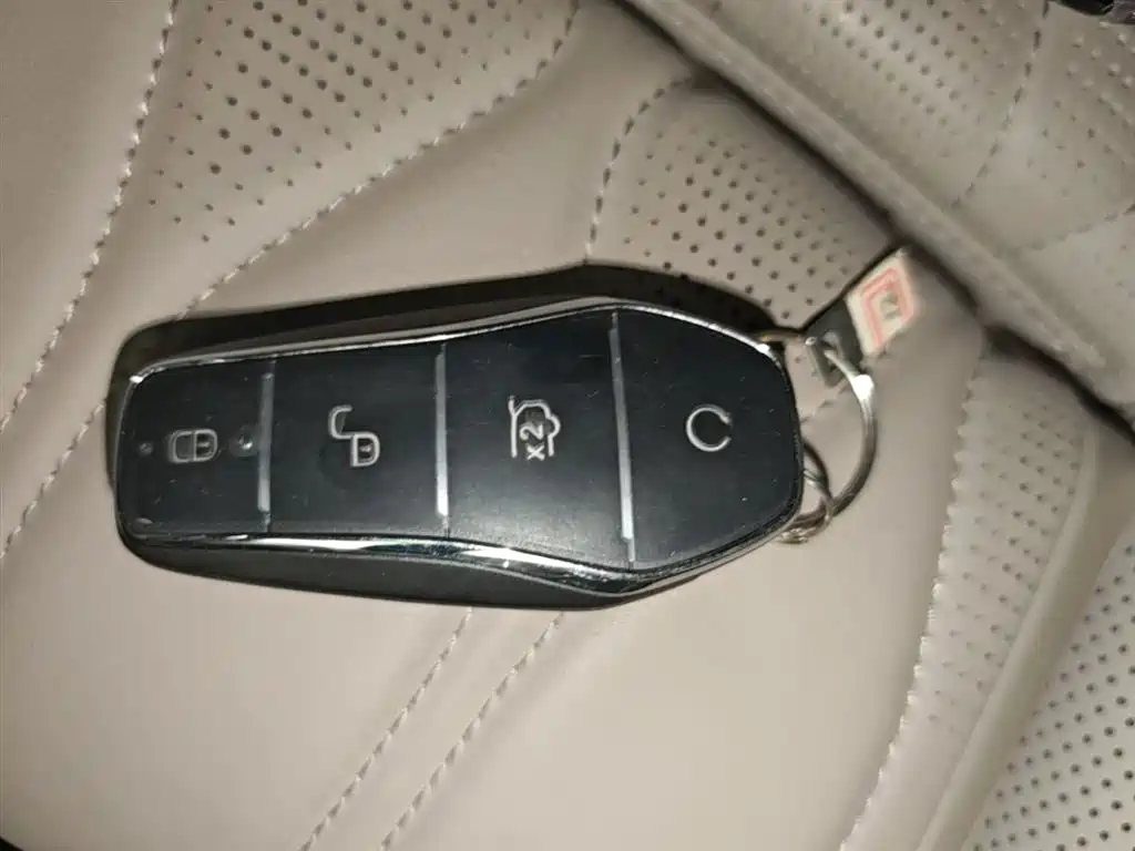 BYD Tang New Energy 2025 Smart Driving Edition DM-i 115KM Flagship фото 9