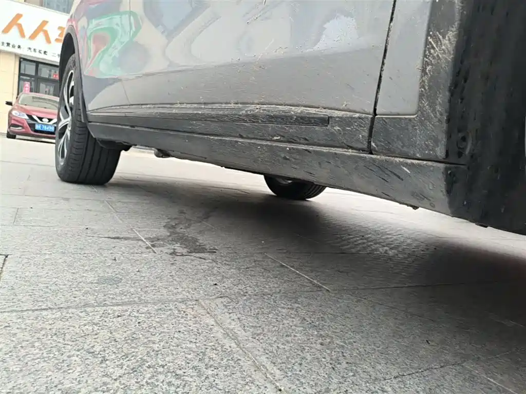 BYD Tang New Energy 2025 DM-i 115KM Flagship фото 21