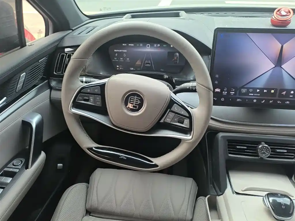 BYD Tang New Energy 2025 DM-i 115KM Flagship фото 11
