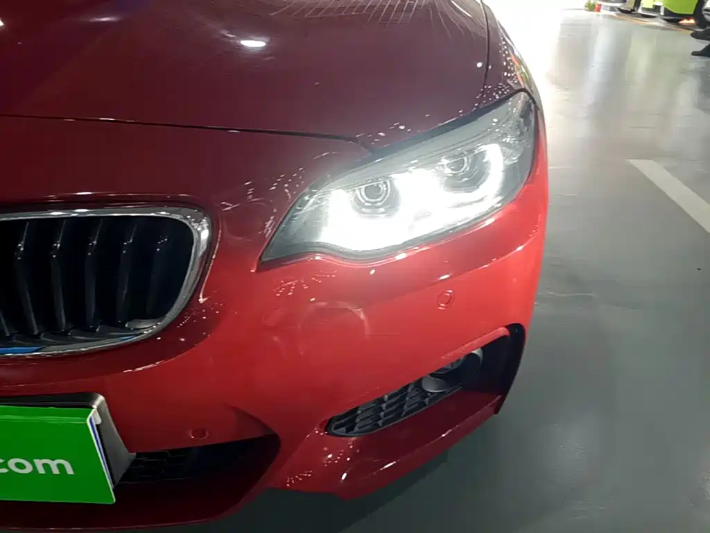 BMW 2 Series (Import) 2018 225i Convertible Coupe M Sport фото 24