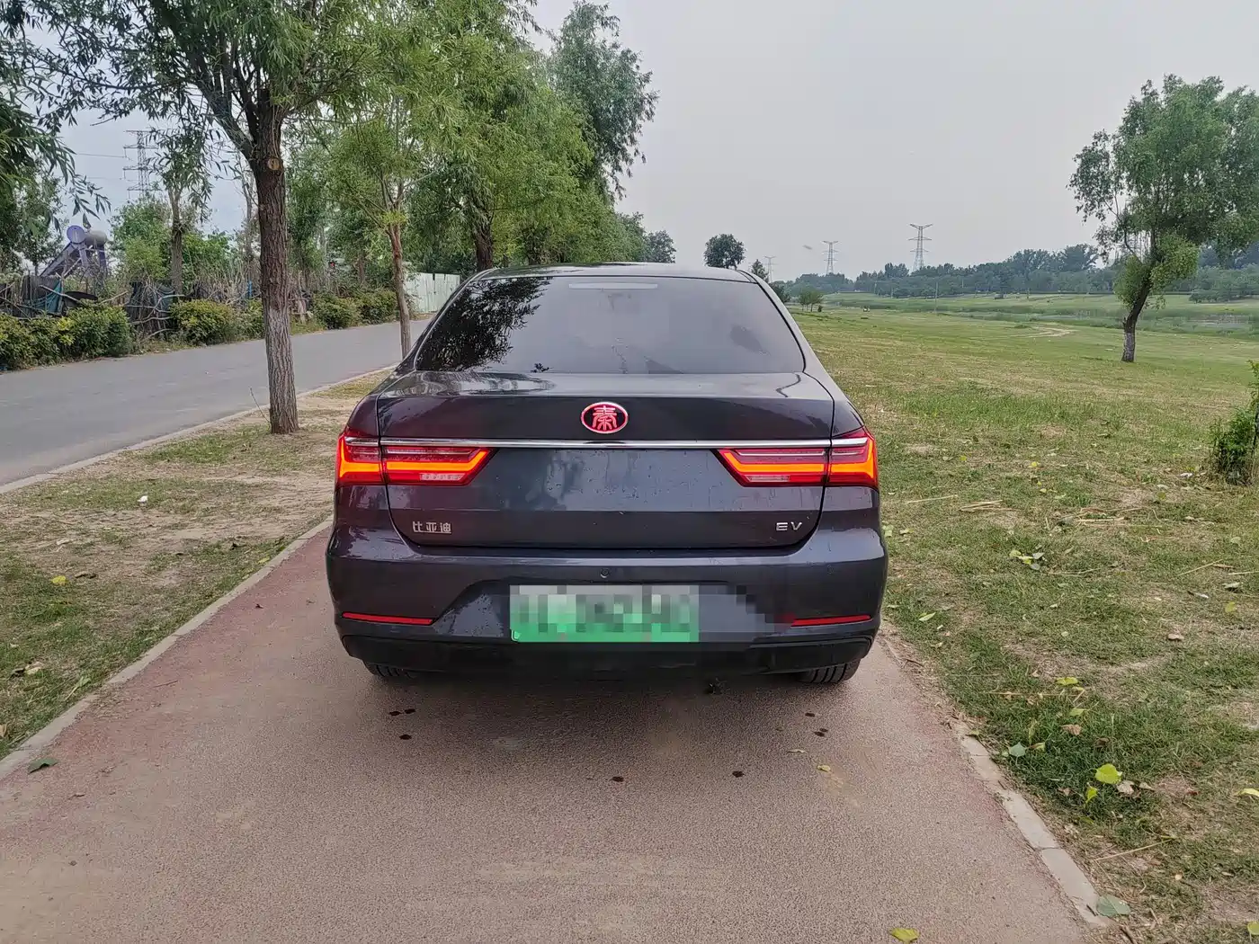 BYD Qin New Energy 2019 Long Range Edition Premium фото 3