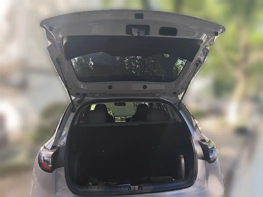 Geely Galaxy Starry Wish 2026 Edition 310km Youth Version фото 10
