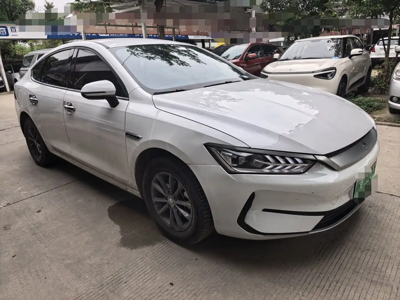 BYD Qin PLUS 2021 EV 400KM Premium Edition фото 3
