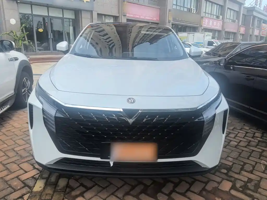 2025 Venucia Big V