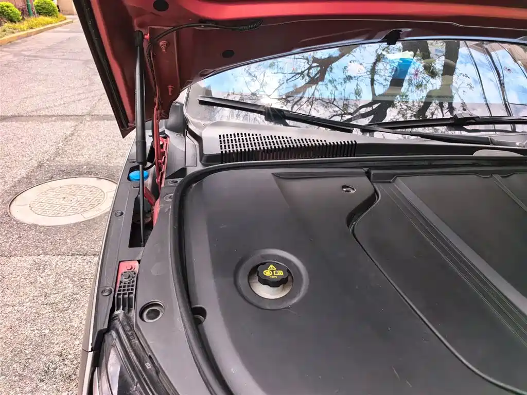 BYD Han 2020 EV AWD High-Performance Flagship фото 21