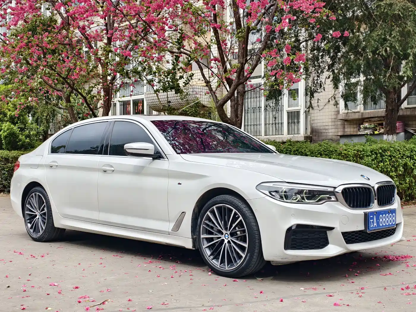 BMW 5 Series 2020 530Li Exclusive M Sport Package фото 3