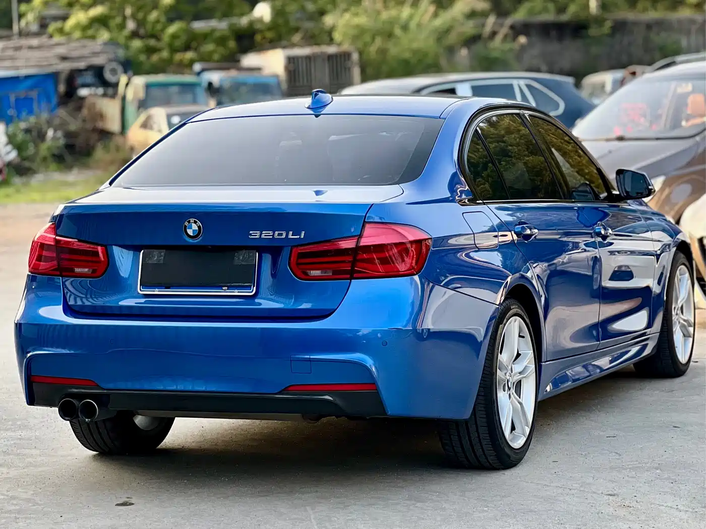 BMW 3 Series 2019 320Li M Luxury Package фото 9