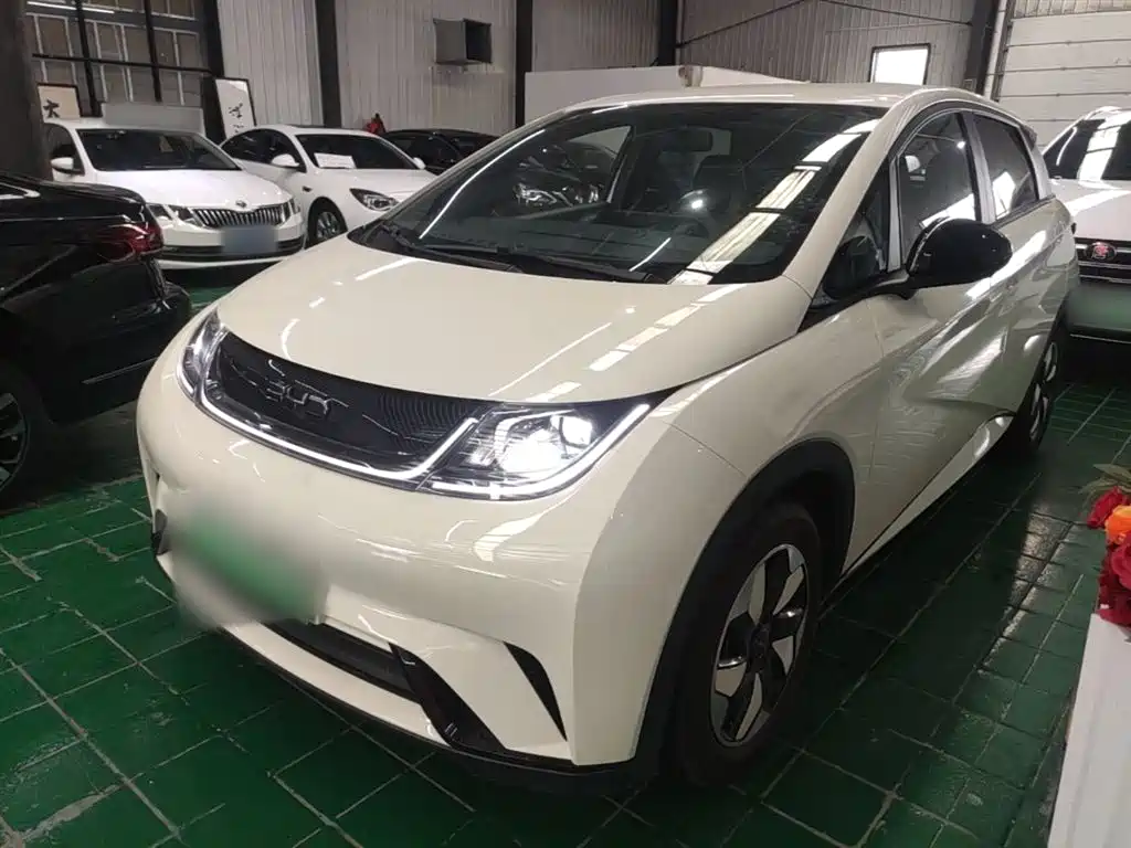 BYD Dolphin 2024 Glory Edition 420km Fashion Edition