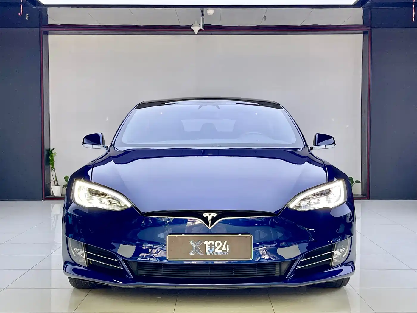 TESLA MODEL S