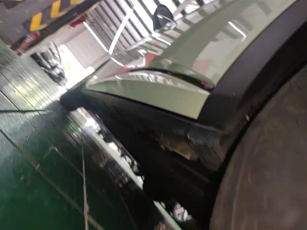 BYD Dolphin 2024 Glory Edition 420km Fashion Edition фото 22