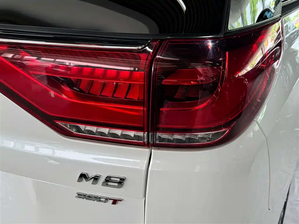 GAC Trumpchi Trumpchi M8 2021 Leading Show Series 390T Ultimate Edition фото 10