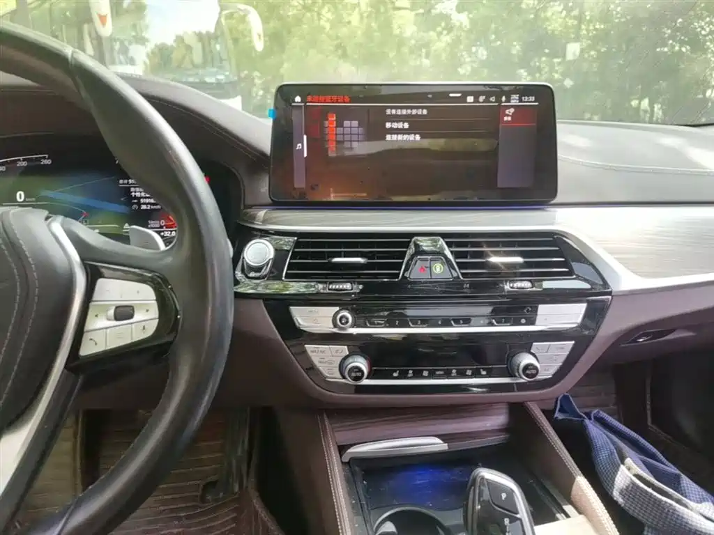 BMW 5 Series 2021 530Li Leading Luxury Package фото 13