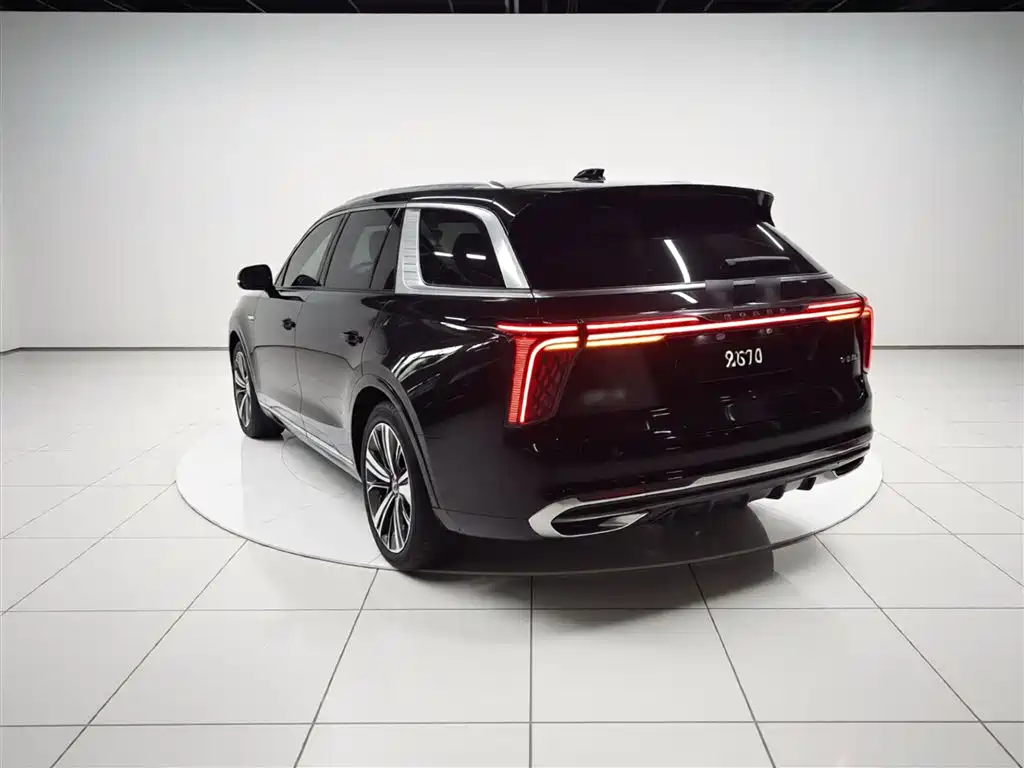 Hongqi E-HS9 2021 510km Flagship Comfort 6-seater фото 5