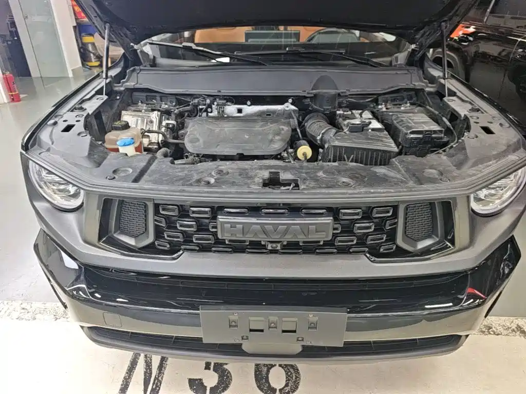 Haval Da Gou 2nd Gen 2024 2023 1.5T 2WD Trend & Wild Edition Plus