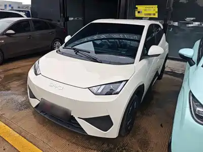 BYD Seagull