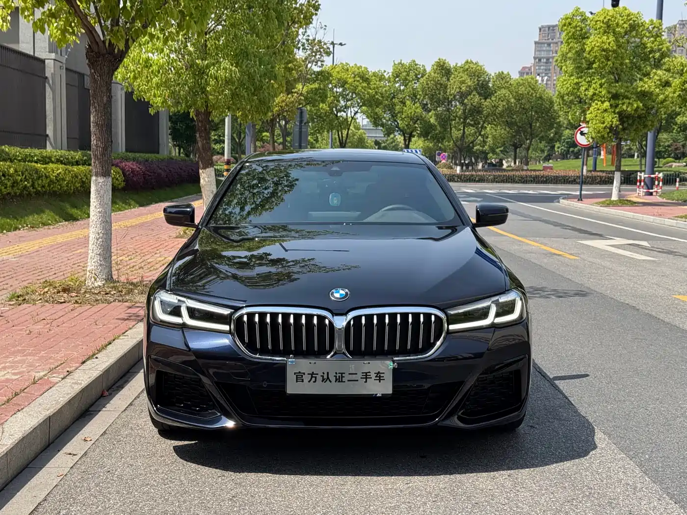 BMW 5 Series (Import) 2022 525i M Sport Package фото 2