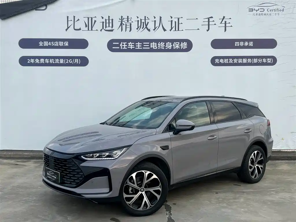 BYD Tang New Energy 2025 Smart Driving Edition DM-i 115KM Flagship
