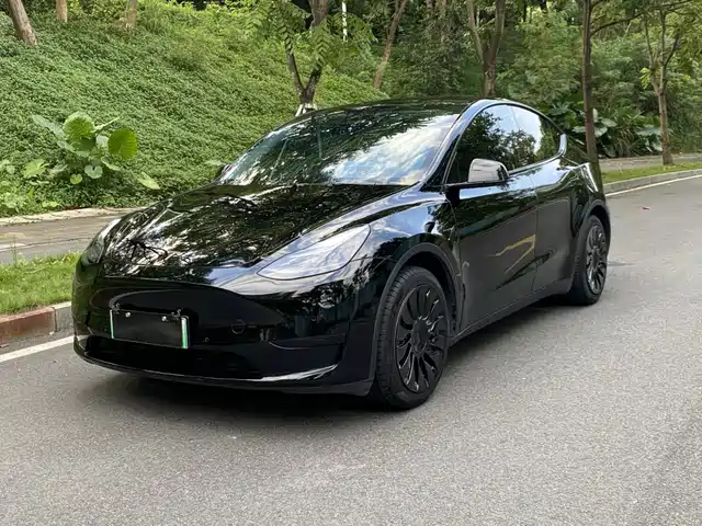 Tesla Model Y Рестайлинг, задний привод