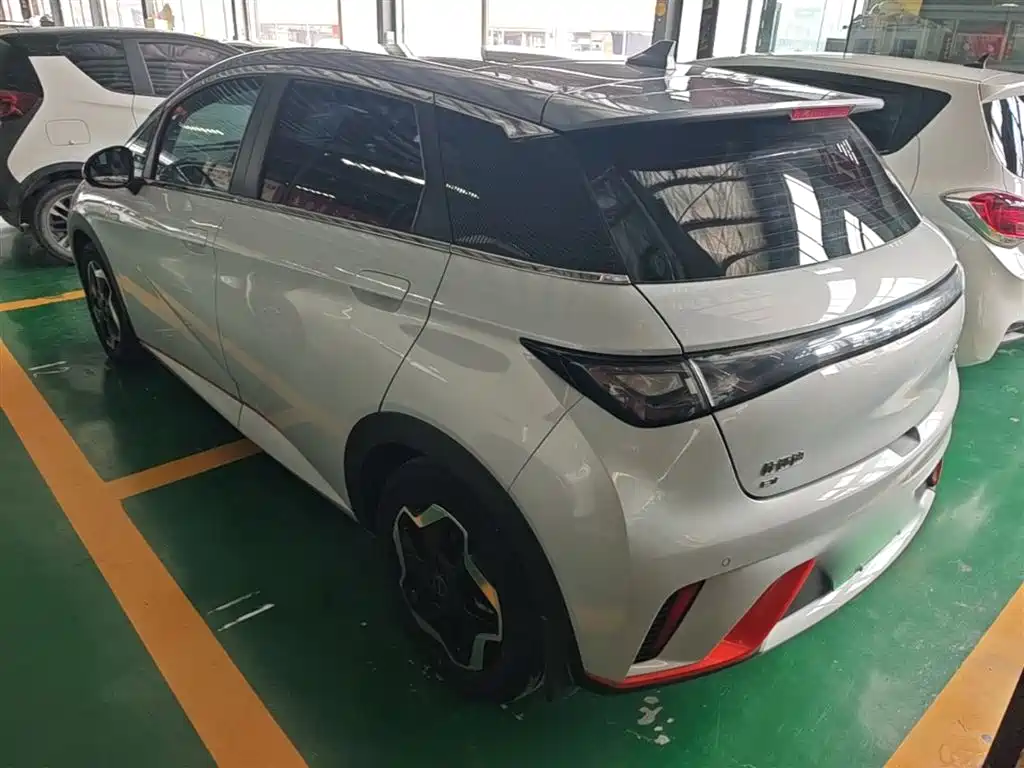 BYD Dolphin 2021 Model 405km Fashion Edition фото 5