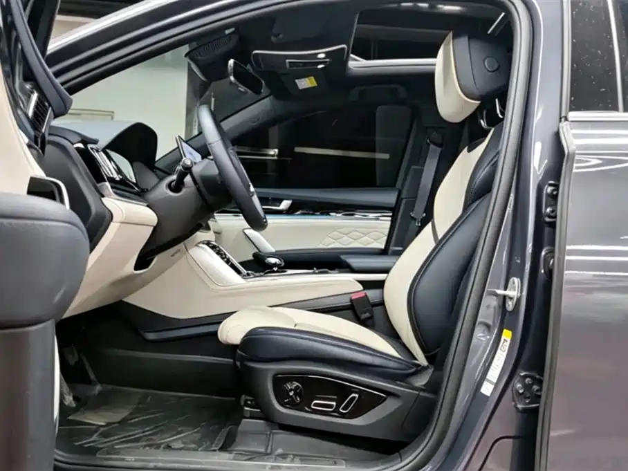 BYD Tang New Energy 2024 EV Glory Edition 730KM Premium фото 7