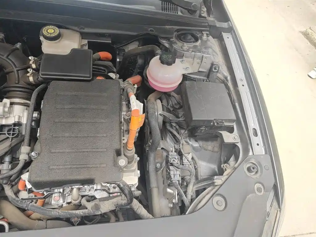 BYD Qin PLUS 2024 Glory Edition DM-i 55KM Leading фото 23