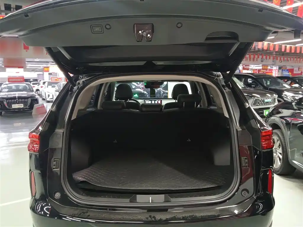 Haval H6 New Energy 2023 DHT-PHEV 110KM Joy Ride Edition фото 15