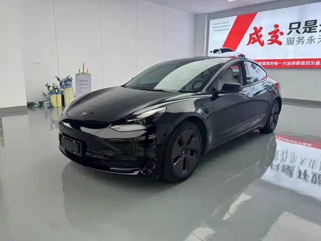 Tesla Model 3 Задний привод