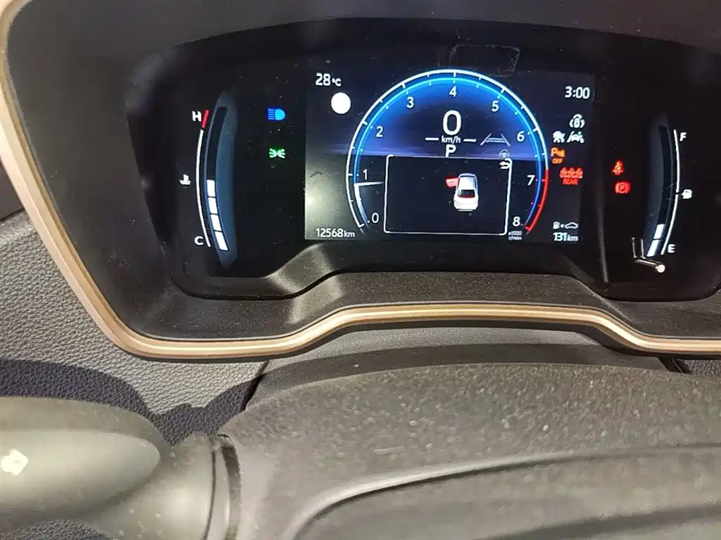 TOYOTA ASIAN LION