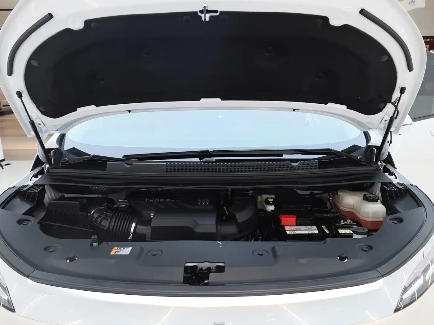 Buick Century 2025 2.0T 6-Seater World Edition фото 27
