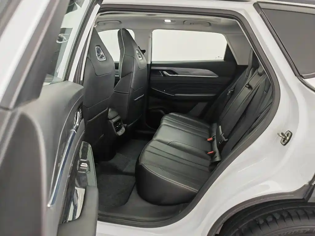 Dongfeng Aeolus Haohan 2024 2024 Glory Edition DH-i 1.5T Premium