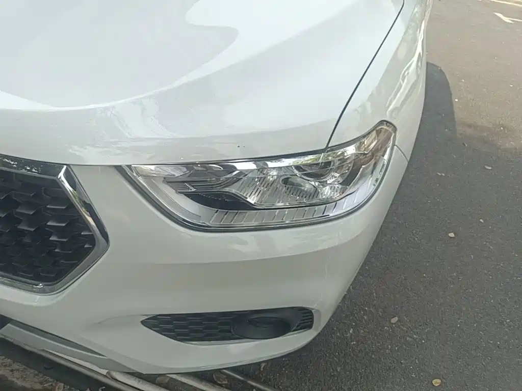 Фото 24 - Haval H2