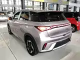 Фото 5 - BYD Dolphin