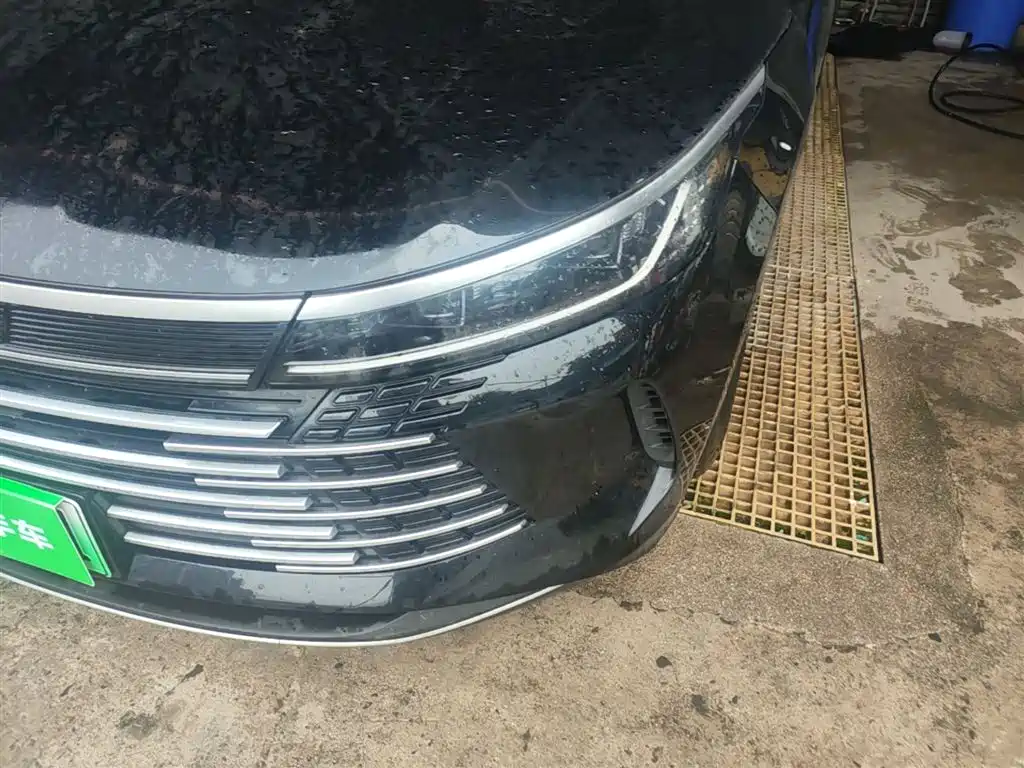 BYD Destroyer 05 2024 Glory Edition DM-i 55KM Luxury фото 24